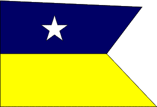 [U.S. Naval Militia flag]